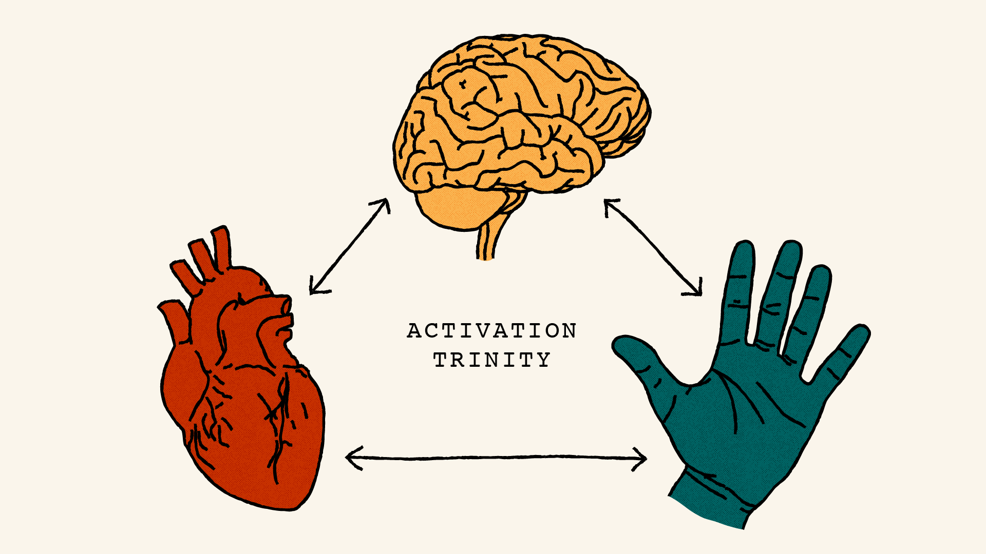 An illustration of a heart, brain and hand arranged in a triangle formation with arrow-ended lines connecting them together. There is a label in the middle which says 'activation trinity'.