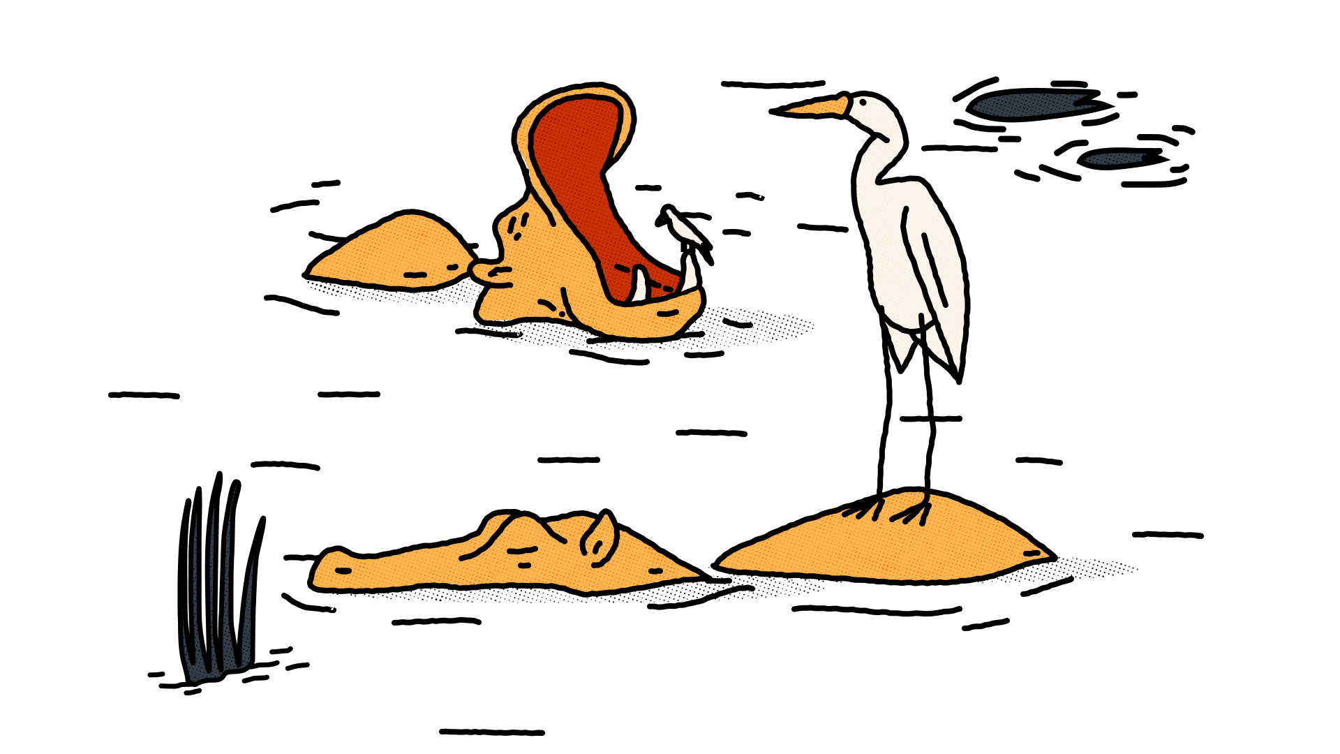An illustration of two hippos partially submerged in water. One has it's mouth open with a small bird perched on it's tooth. The other has a larger bird standing on it's back.