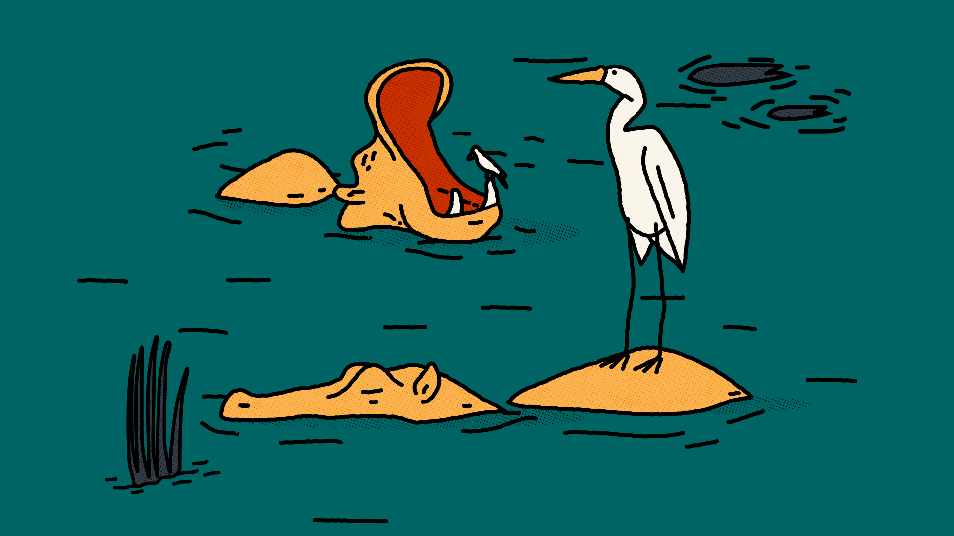 An illustration of two hippos partially submerged in water. One has it's mouth open with a small bird perched on it's tooth. The other has a larger bird standing on it's back.