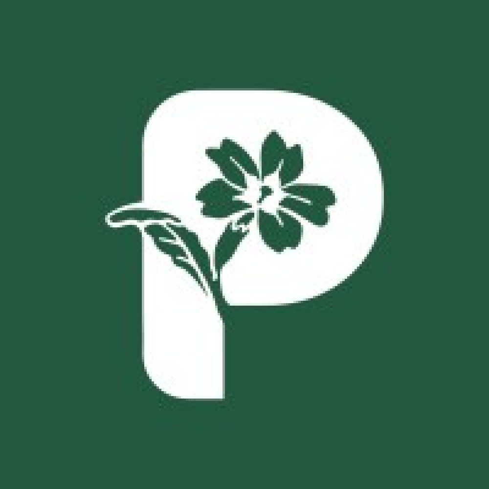 Platlife logo
