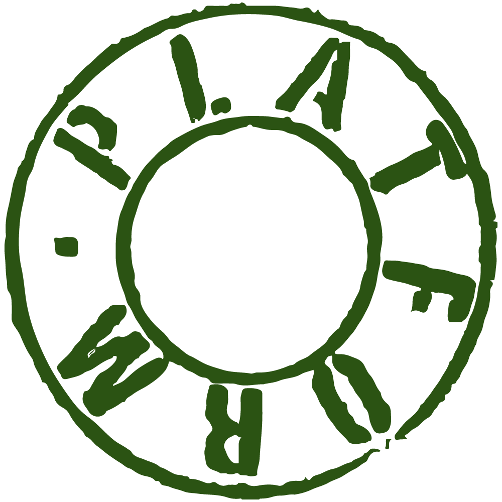 Platform logo