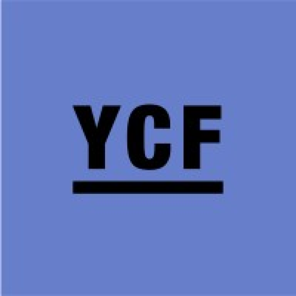 Young Camden Foundation logo